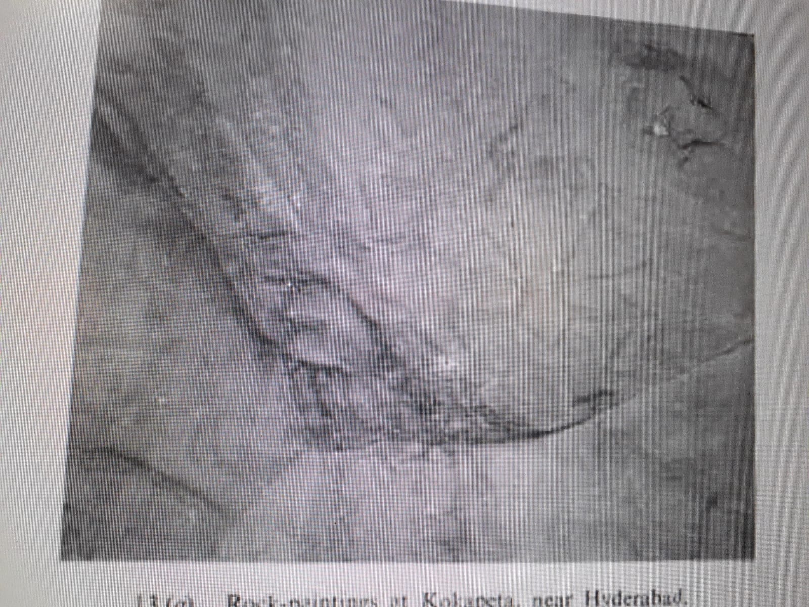 పురావస్తు పరిశోధకులు కృష్ణ శాస్త్రి  40 ఏళ్ల క్రితం  కోకాపేట గట్టలపైకి ఎక్కి ఆక్కడ ఆదిమానవుడు గీసిన చిత్రాల ఫొటోలను తీశారు. ఆ ఫొటోలను 1983లో వెలువరించిన  తన ఒక  గ్రంధంలో ముద్రించారు. గ్రంధంలోని  ఒక ఫొటో ఇది