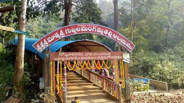 ఉమ్మడి పశ్చిమగోదావరి జిల్లా బుట్టాయగూడెం మండలం కోర్సవారి గూడెం అటవీ ప్రాంతంలో గుబ్బల గంగమ్మ ఆలయం